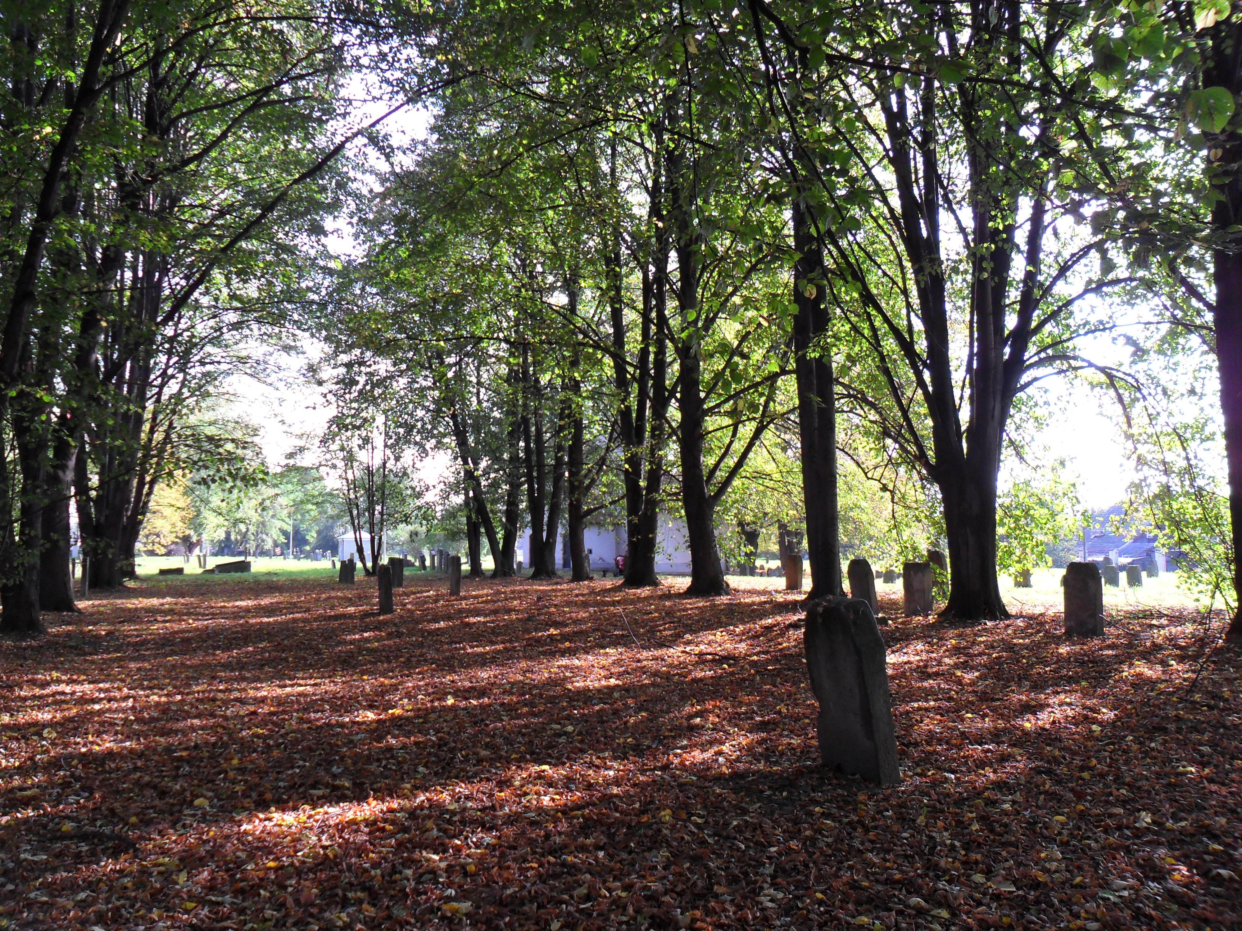 Nowy cmentarz żydowski w Nowym Sączu